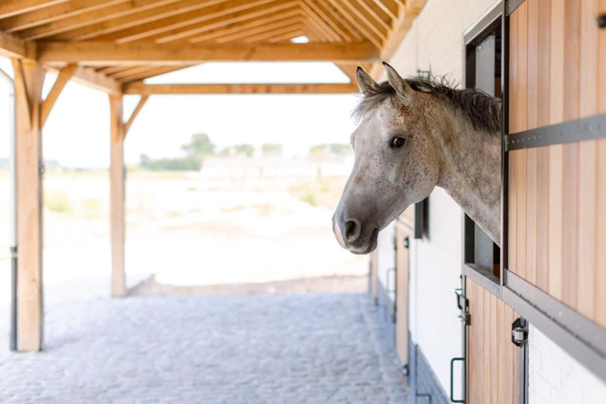 Tosca - Charming Double At Ranch De Blauwe Zaal